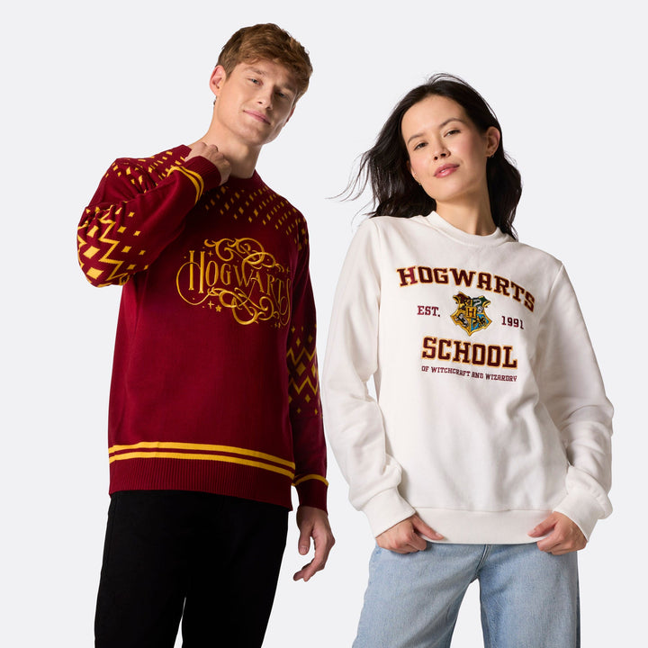 Hogwarts Julesweater Herre