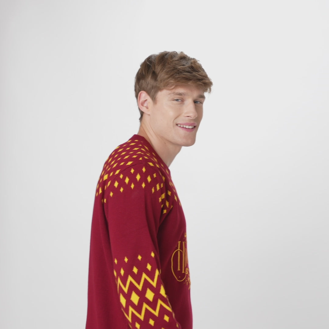 Hogwarts Julesweater Herre
