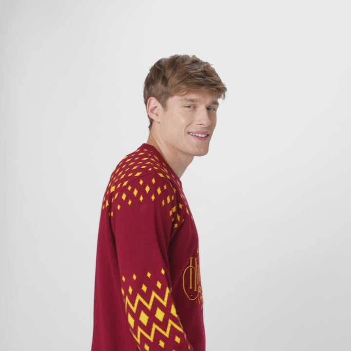 Hogwarts Julesweater Herre