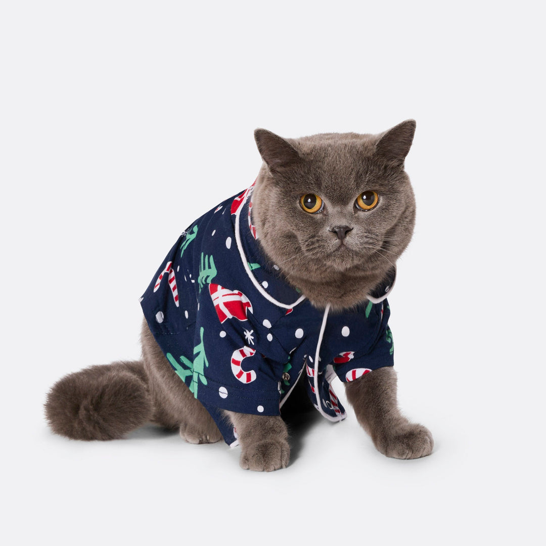 Blå Julemønster Julepyjamas til Katte