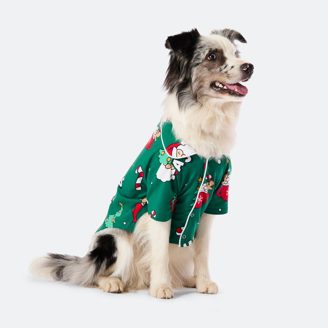 Grøn Xmas Julepyjamas til Hund