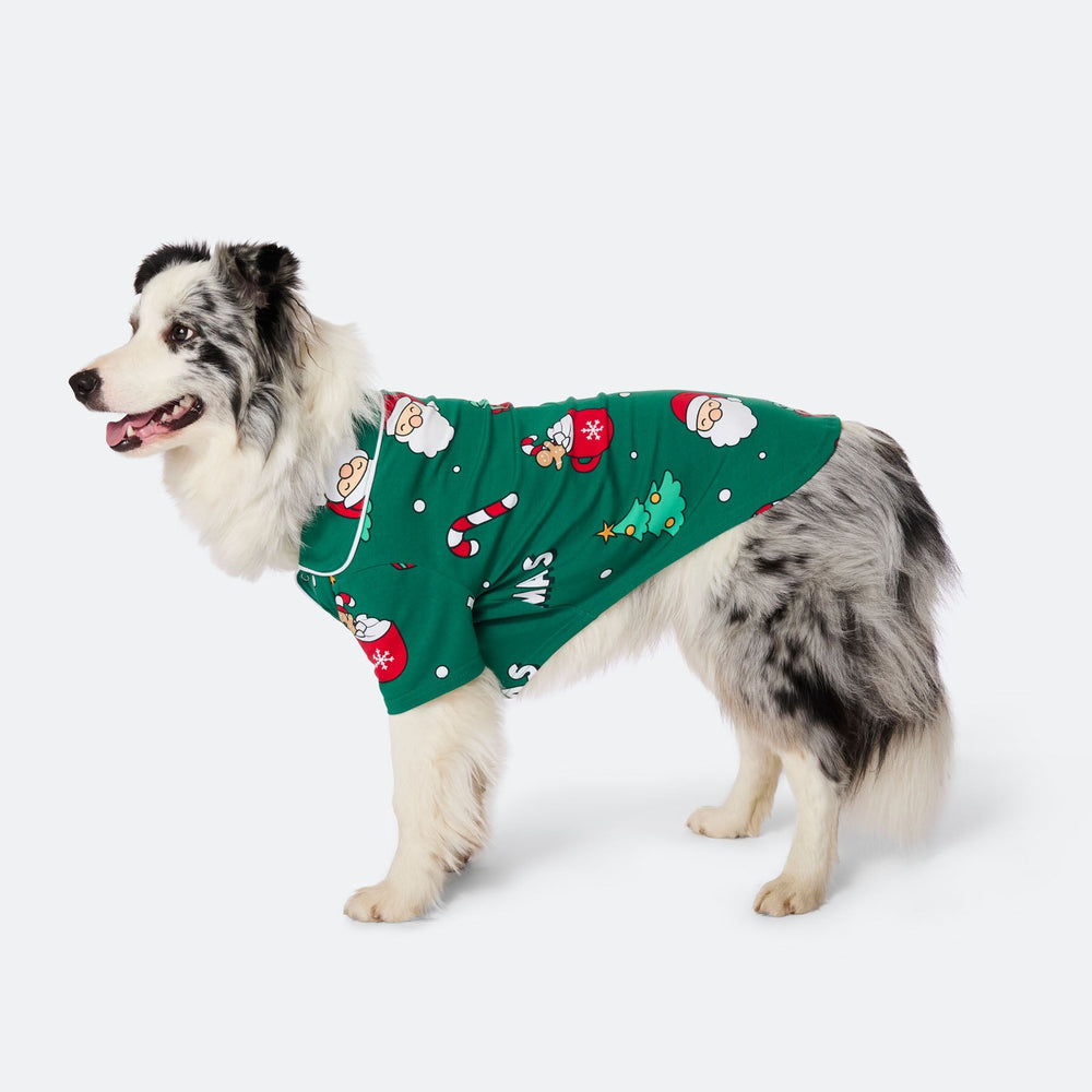 Grøn Xmas Julepyjamas til Hund