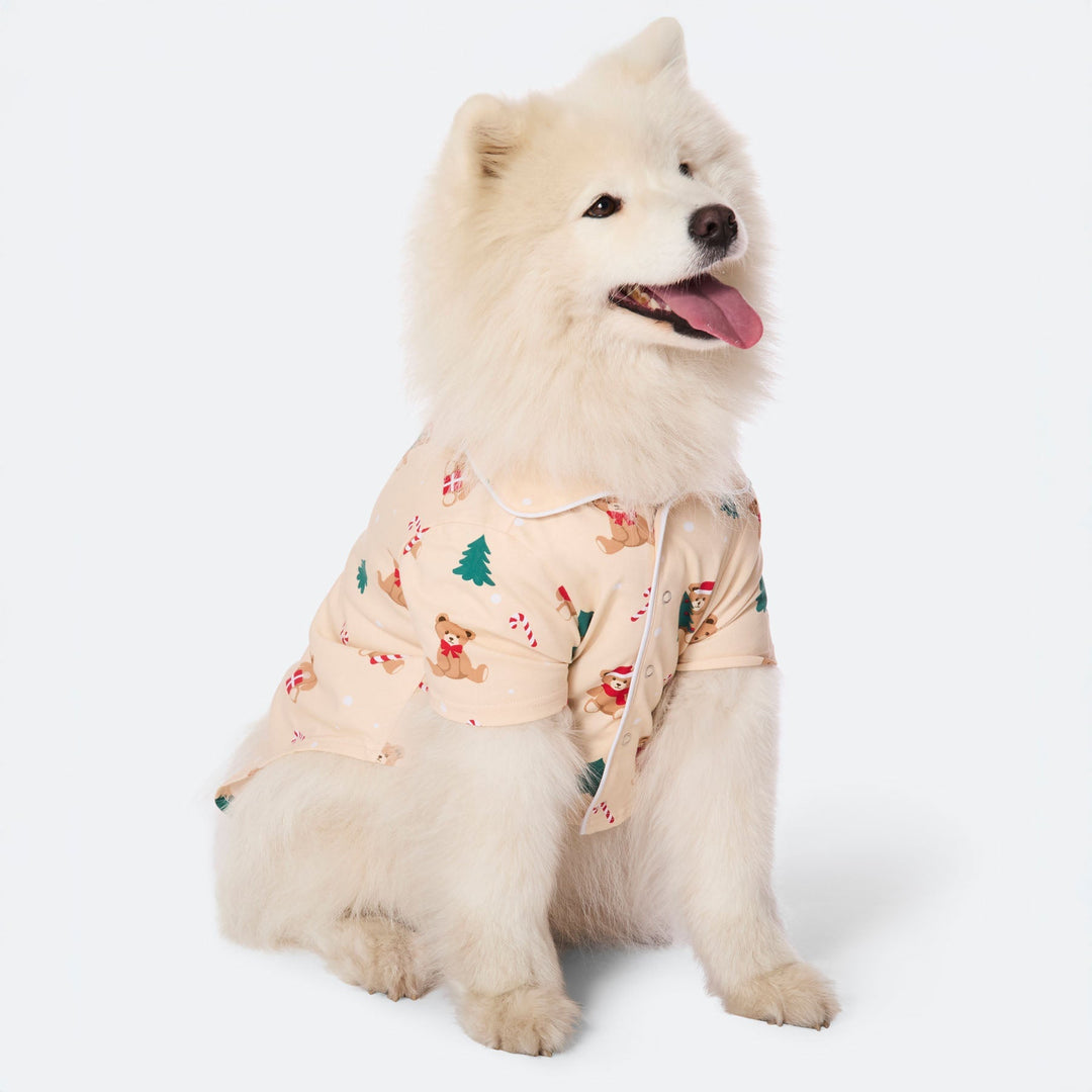 Beige Teddybjørn Julepyjamas til Hund