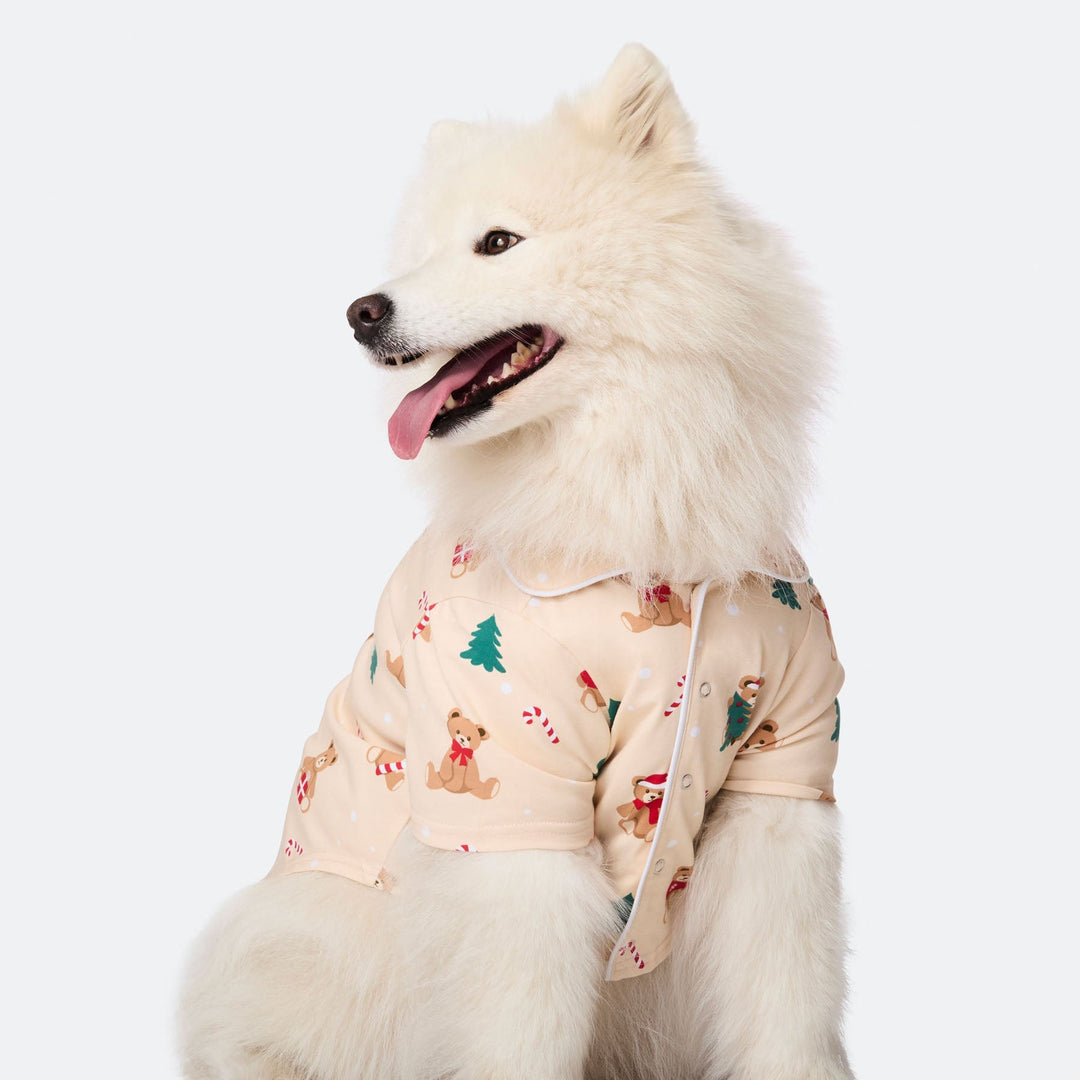 Beige Teddybjørn Julepyjamas til Hund