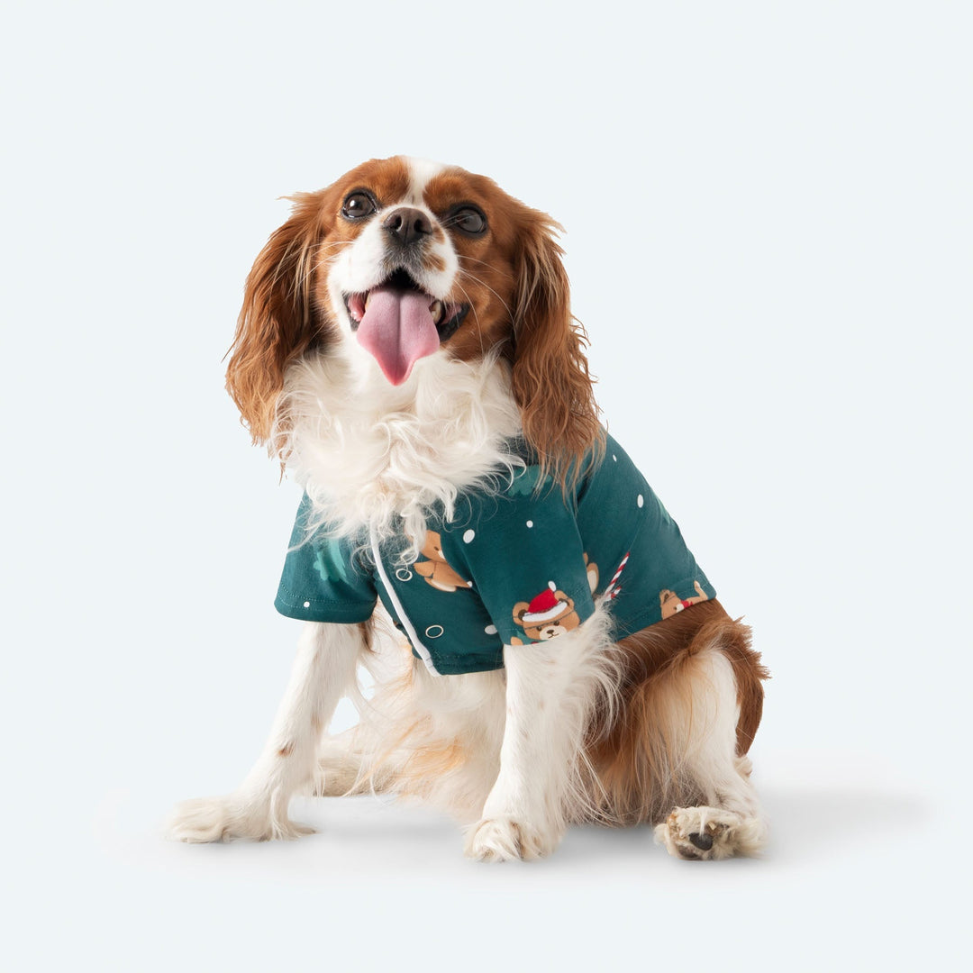 Grøn Teddybjørn Julepyjamas til Hund