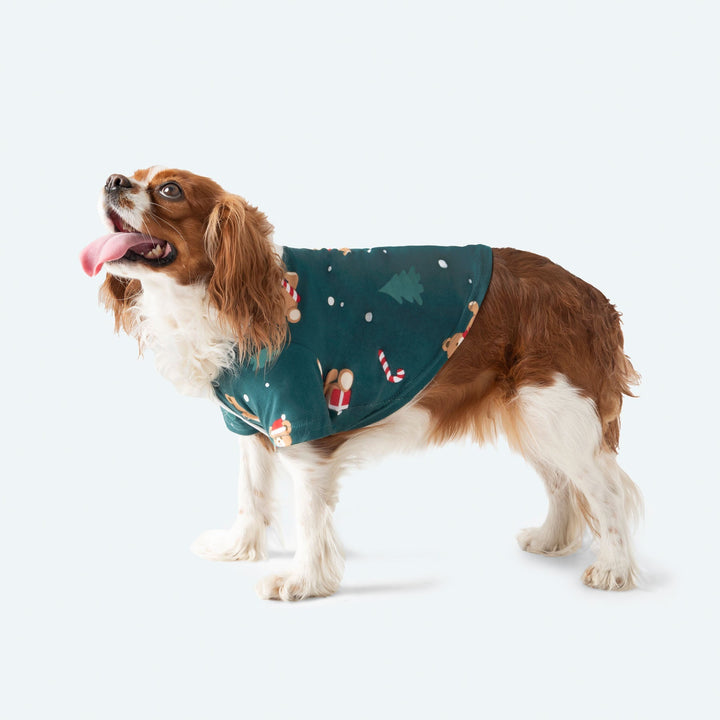 Grøn Teddybjørn Julepyjamas til Hund