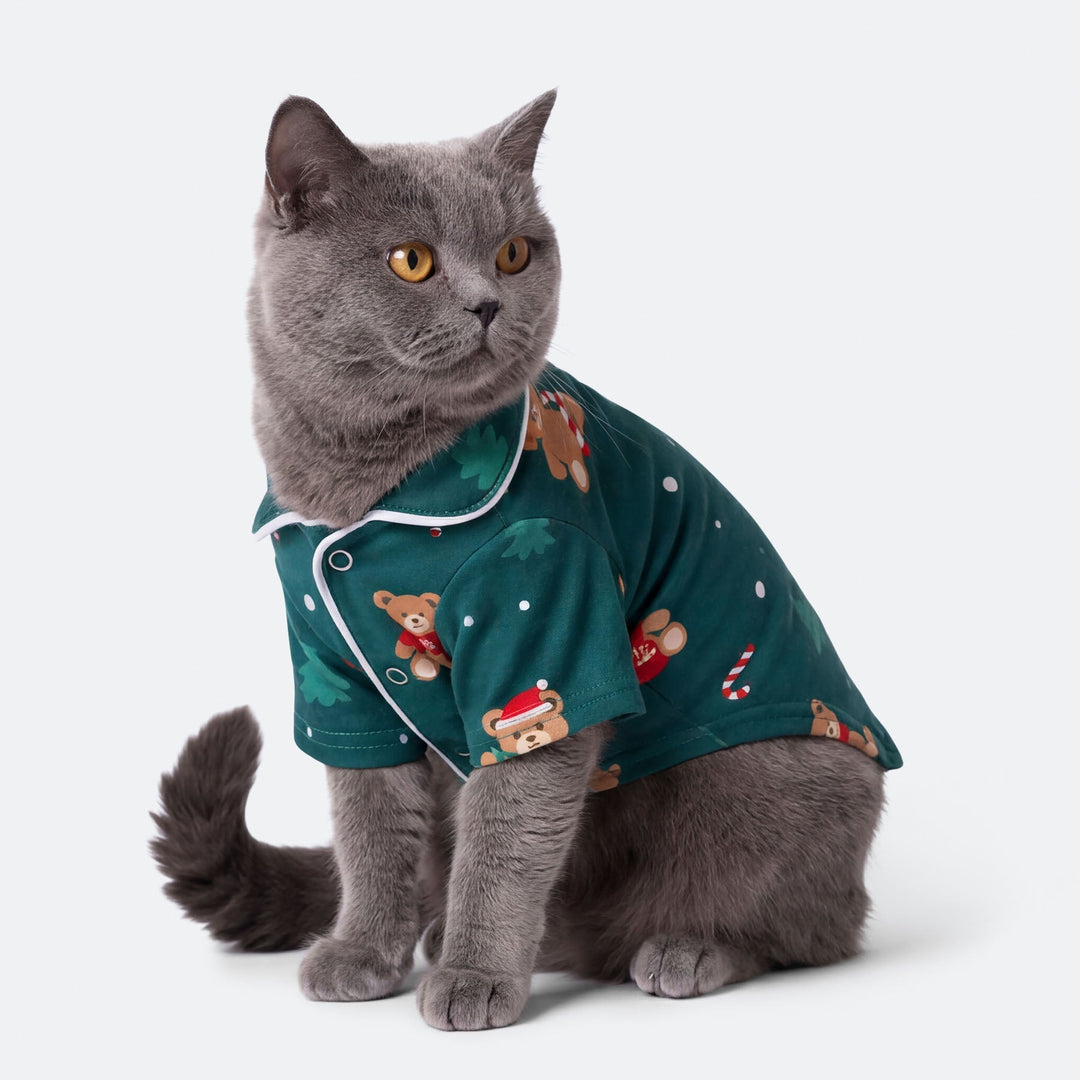 Grøn Teddybjørn Julepyjamas til Kat