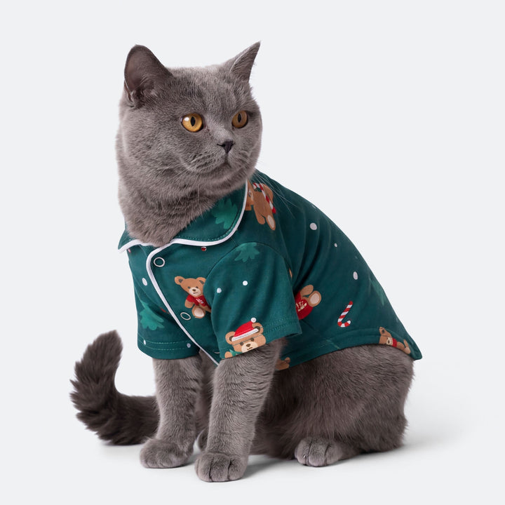 Grøn Teddybjørn Julepyjamas til Kat