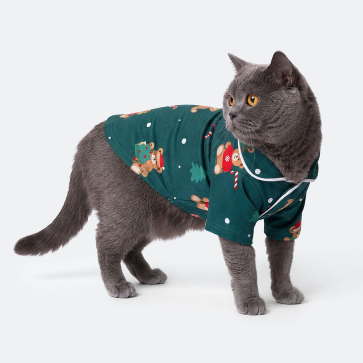 Grøn Teddybjørn Julepyjamas til Kat