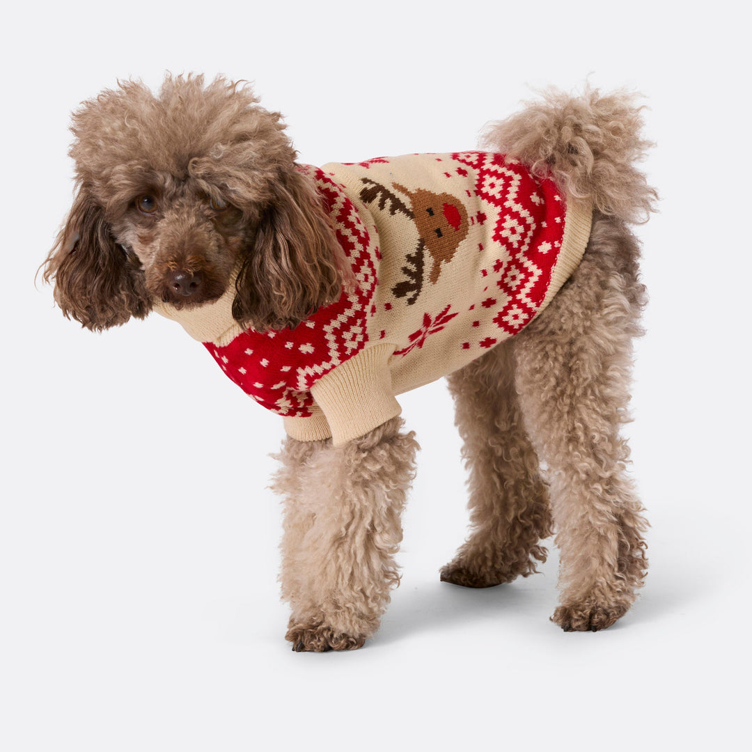 Rød Retro Rensdyr Julesweater til Hunde