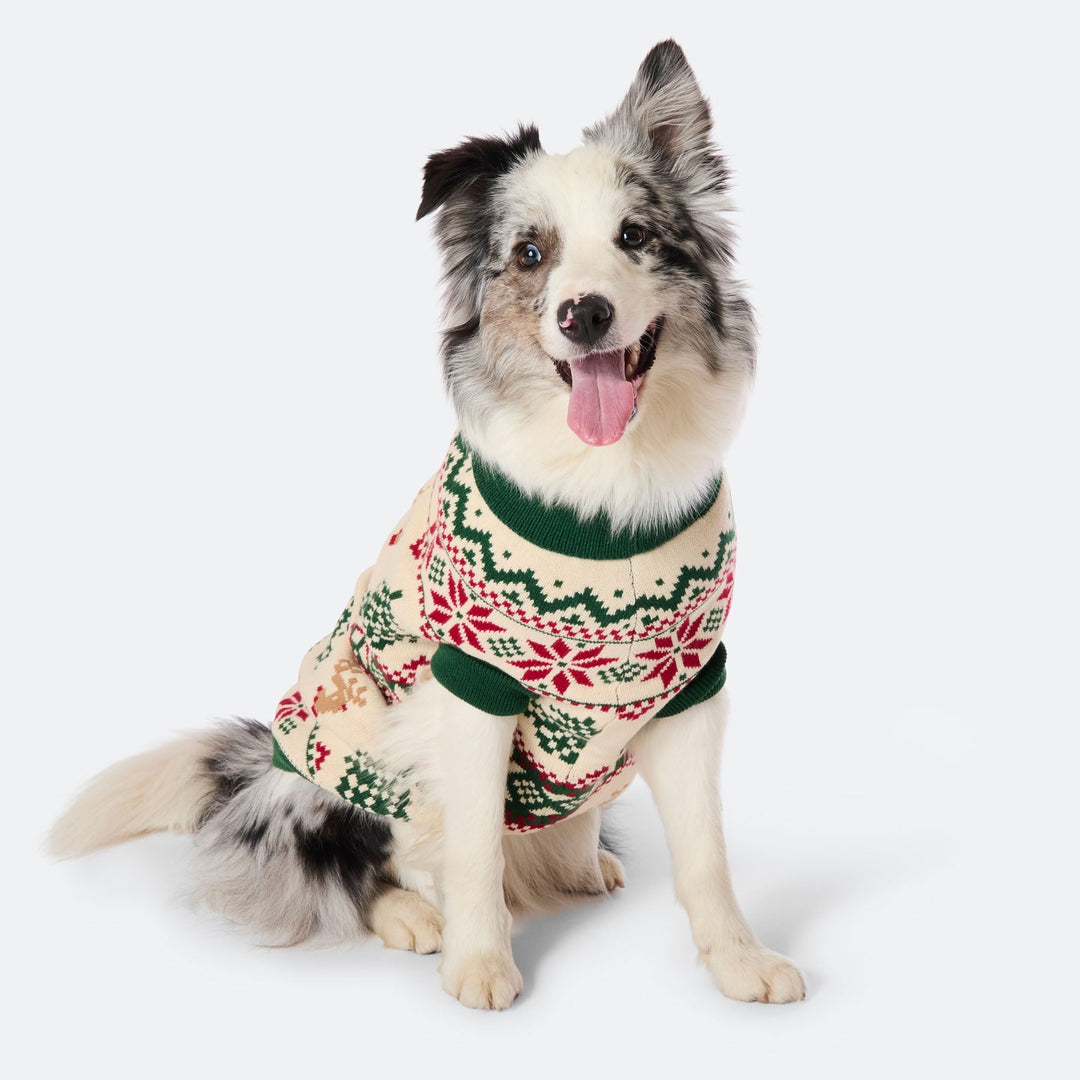 Retro Juletræ Julesweater til Hund