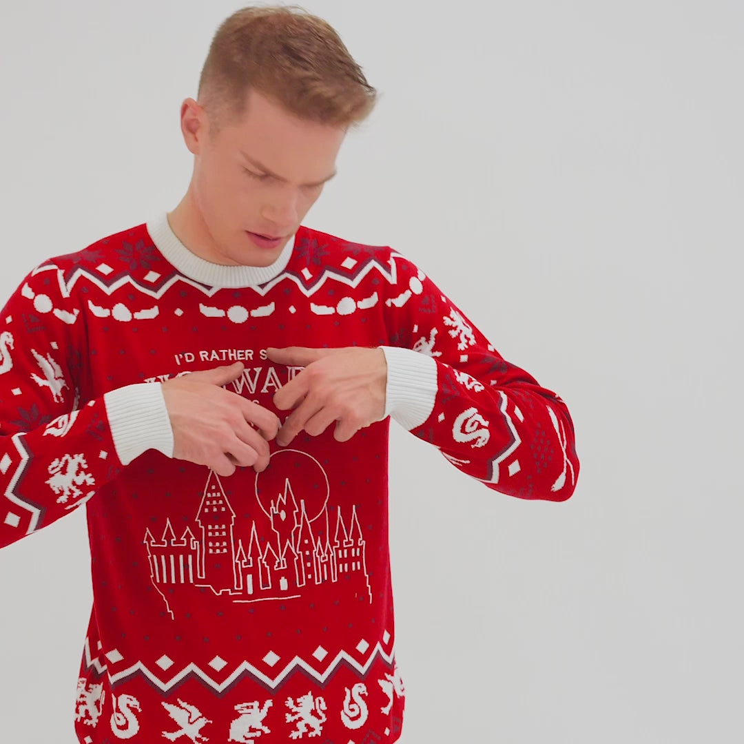 Hogwarts Julesweater Herre