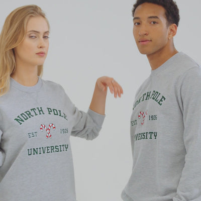 North Pole University Julesweater Herre