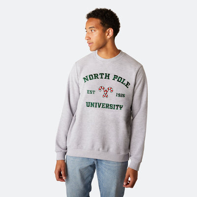 North Pole University Julesweater Herre