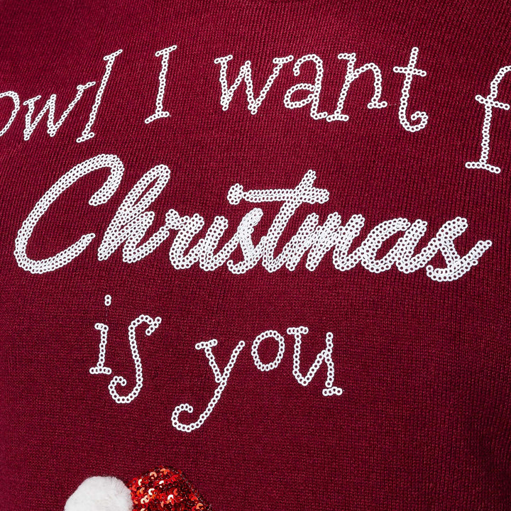 Owl I Want Julesweater Børn